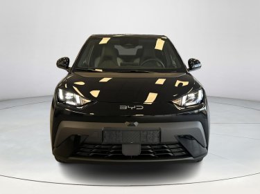 Foto van BYD DOLPHIN SURF