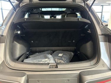 Foto van BYD Atto 2