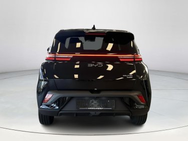 Foto van BYD DOLPHIN SURF