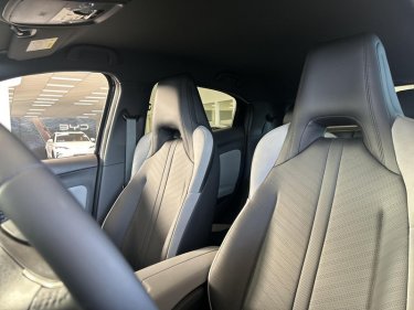 Foto van BYD DOLPHIN SURF